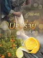 บ่วงร้ายพ่ายเสน่หา cover