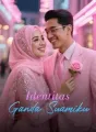 Identitas Ganda Suamiku cover
