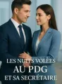 Les Nuits Volées au PDG et sa Secrétaire cover