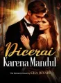 DICERAI KARENA MANDUL cover