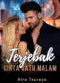 TERJEBAK CINTA SATU MALAM cover