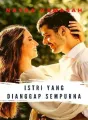 Istri yang Dianggap Sempurna cover