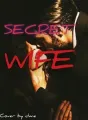 Secret Wife cover