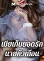เมียเก็บยอดรักนายหัวเถื่อน cover