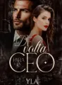 De Volta para o Ceo cover