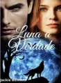 LUNA A VERDADE  cover