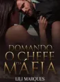 Domando O Chefe da Máfia cover
