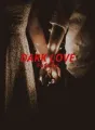 DARK LOVE cover
