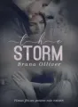 The Storm cover