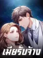 เมียรับจ้าง cover