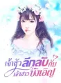 เจ้าสัวลึกลับกับเจ้าสาวบังเอิญ cover