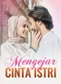 Mengejar Cinta Istri cover