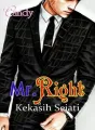 Mr. Right cover