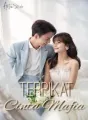 Terpikat Cinta Mafia cover