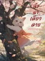 ลำนำเดียวดาย cover