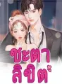 ชะตาลิขิต cover