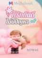 ก็รักกันดี ไม่มีปัญหา cover