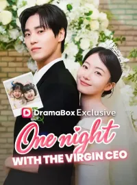 One Night With the Virgin CEO (DUBBED)