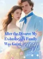 After the Divorce, My Ex-husband's Family Was Going Crazy cover