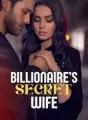 Billionaire's Secret Wife cover