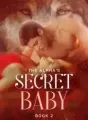 The Alpha's Secret Baby 1 cover