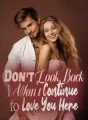 Don't Look Back, I Won't Continue to Love You Here cover