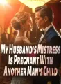 My Husband's Mistress Is Pregnant With Another Man's Child cover