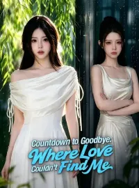 Countdown to Goodbye: Where Love Couldn't Find Me