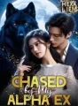 Chased by My Alpha Ex cover