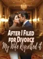 After I Filed for Divorce, My Wife Regretted it cover