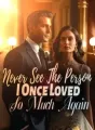 Never See The Person I Once Loved So Much Again cover