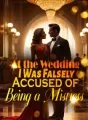 At the Wedding, I Was Falsely Accused of Being a Mistress cover