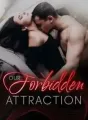 Our Forbidden Attraction cover