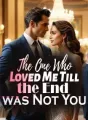 The One Who Loved Me Till the End was Not You cover