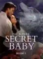 The Alpha's Secret Baby 2 cover