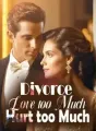 Divorce: Love too Much, Hurt too Much cover