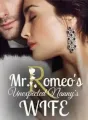 Mr Romeo's Unexpected Nanny's Wife cover