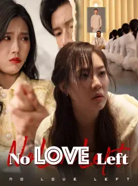 No Love Left