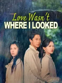 Love Wasn't Where I Looked(DUBBED)