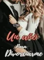 Un año para divorciarme cover