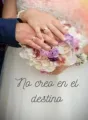No creo en el destino cover