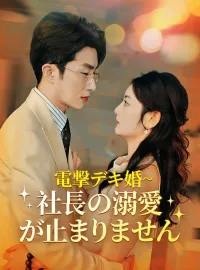 電撃デキ婚~社長の溺愛が止まりません(日本語吹替版)ショートドラマ