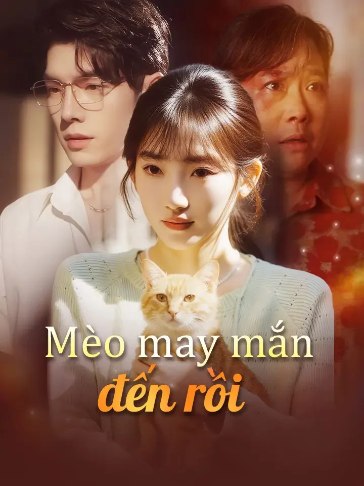 Mèo may mắn đến rồi