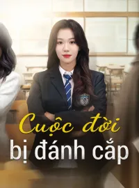 Cuộc đời bị đánh cắp