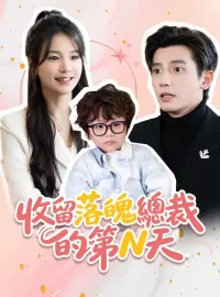 收留落魄總裁的第N天
