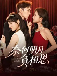 奈何明月負相思