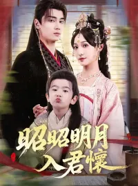 昭昭明月入君懷