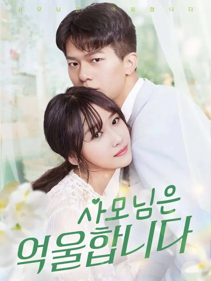 사모님은 억울합니다