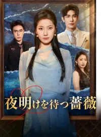 夜明けを待つ薔薇