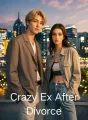 Crazy Ex After Divorce cover
